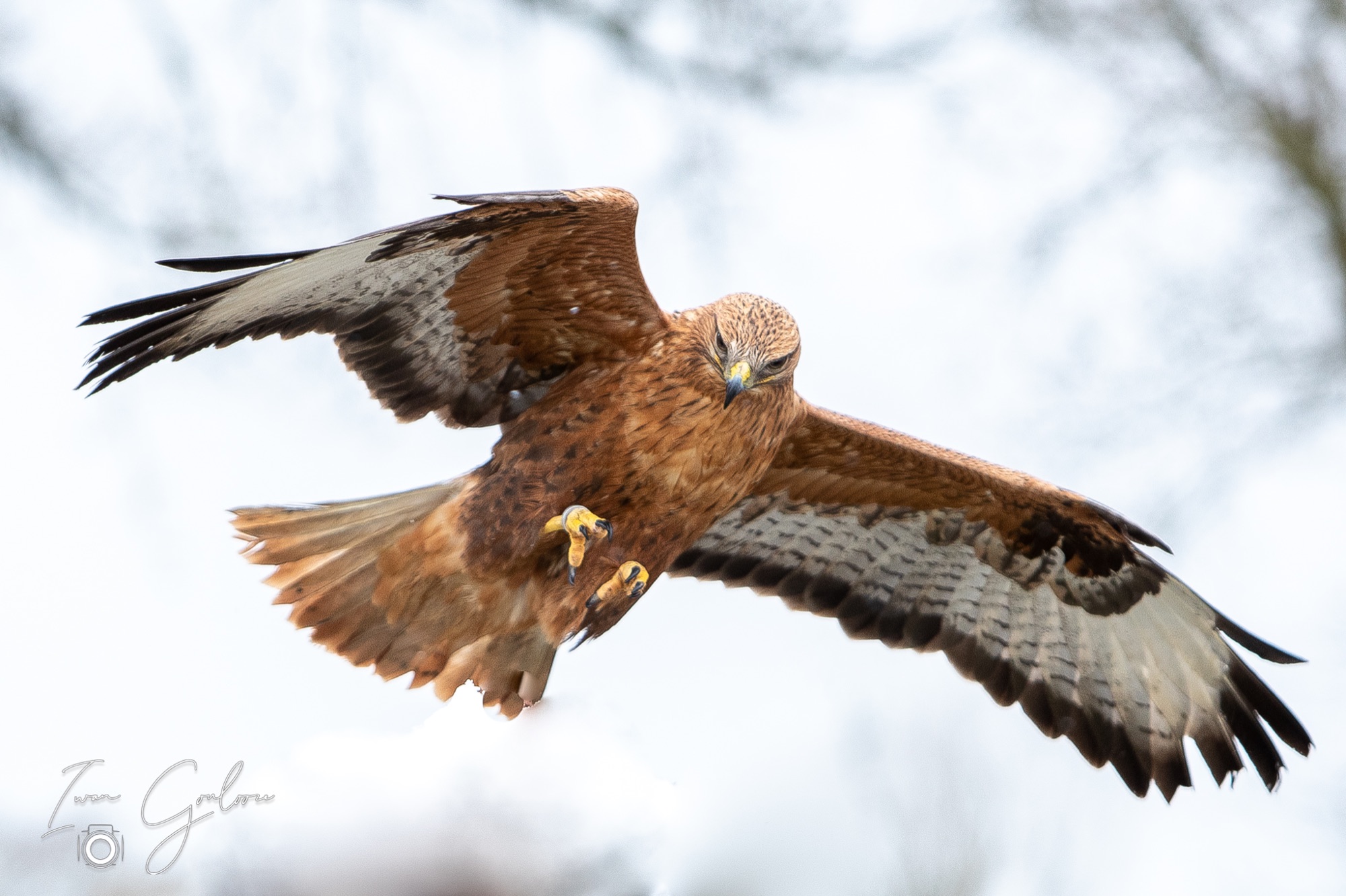 01 april 2022 120317 1DX47294